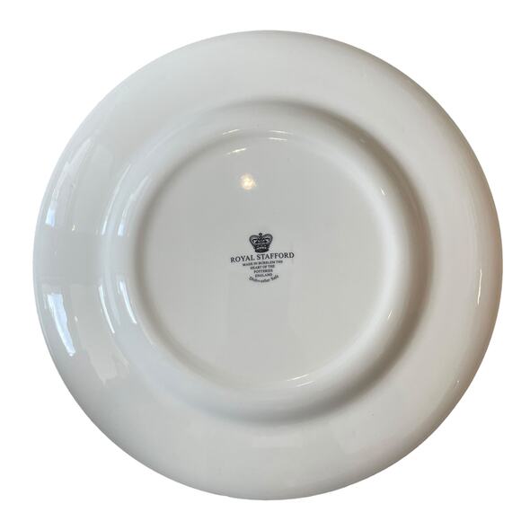 Royal Stafford WICKED WITCH Dinner Plates 11in Set of 4 Spooky Halloween New - Picture 8 of 13